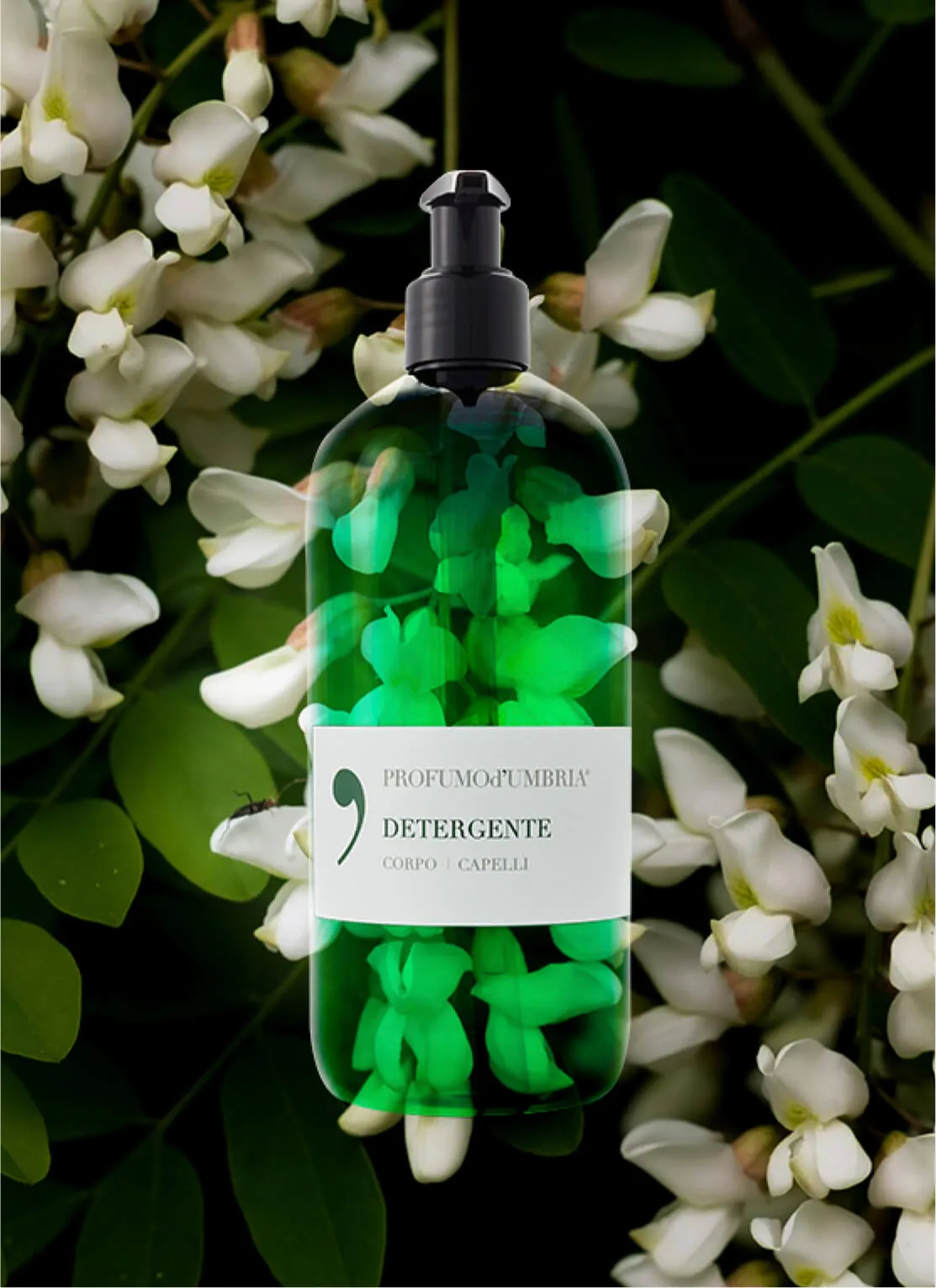 A transparent pump bottle of PROFUMOd'UMBRIA detergent for body and hair, placed against a backdrop of white flowers and green leaves.
